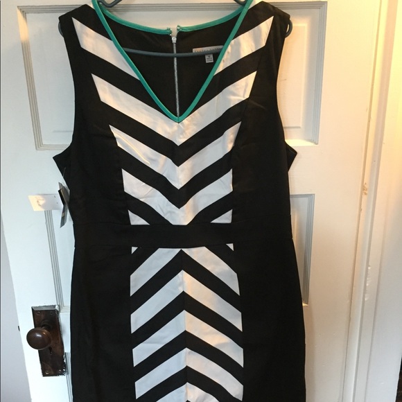 Sandra Darren Dresses & Skirts - Sandra Darren Cocktail Dress NWT